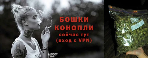 гашик Арсеньев