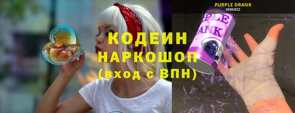 гашик Арсеньев